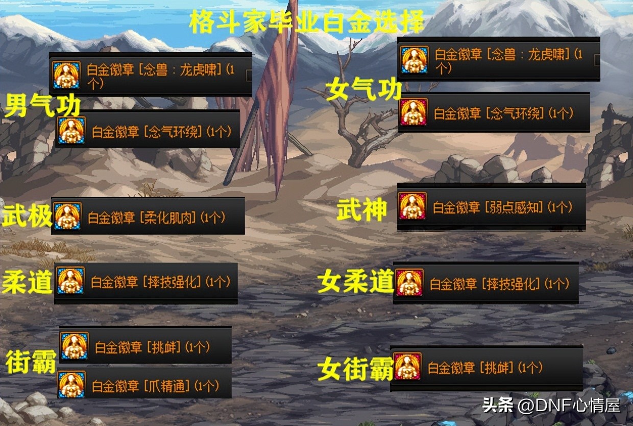 dnf24周年庆光环有属性吗,dnf全职业白金徽章选择