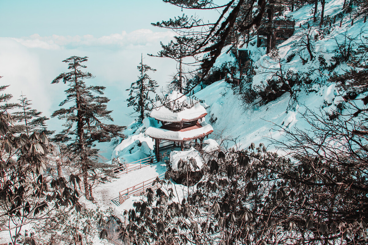 酒诗100首探索古今酒文化的精粹,十首诗词中的诗酒生活