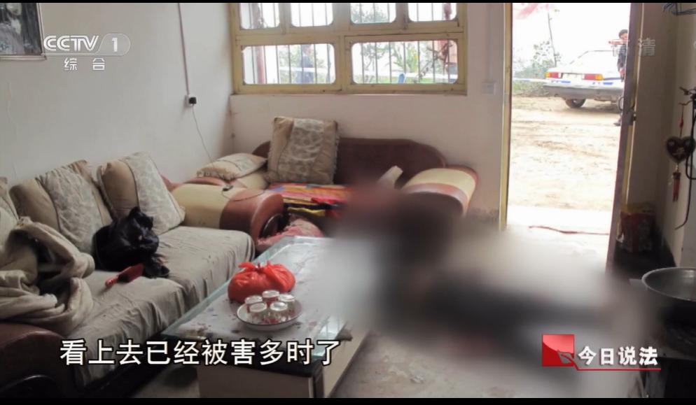 独居女子被杀后续,独居寡妇的真实事件