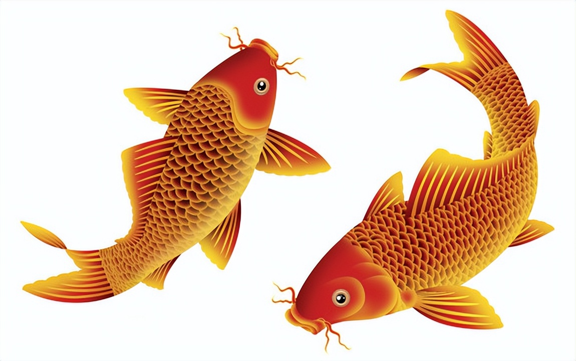 今日足球预测法国vs荷兰,足球专家分析意大利对波黑