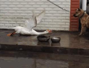 给女朋友送睡衣推荐,给女朋友送一套睡衣