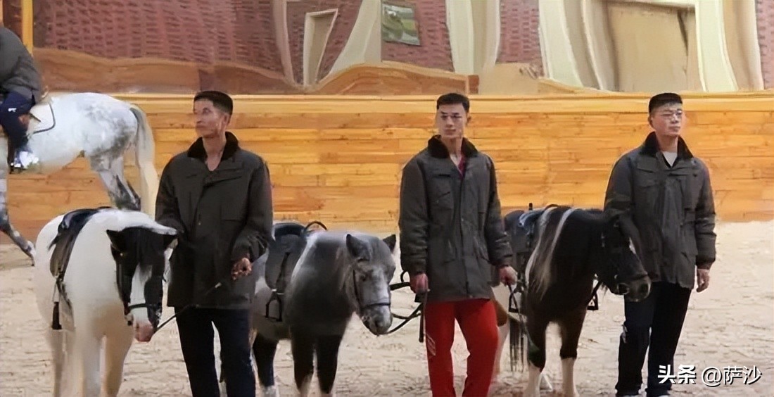 武田被打败原因,武田为什么会败