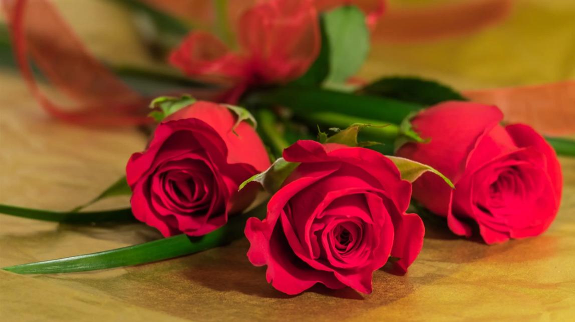 送女朋友香槟玫瑰有什么含义,七夕送玫瑰康乃馨百合是什么含义