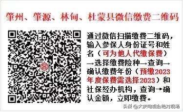 大庆城乡居民医保保险缴费标准,大庆城乡居民医保怎么缴费