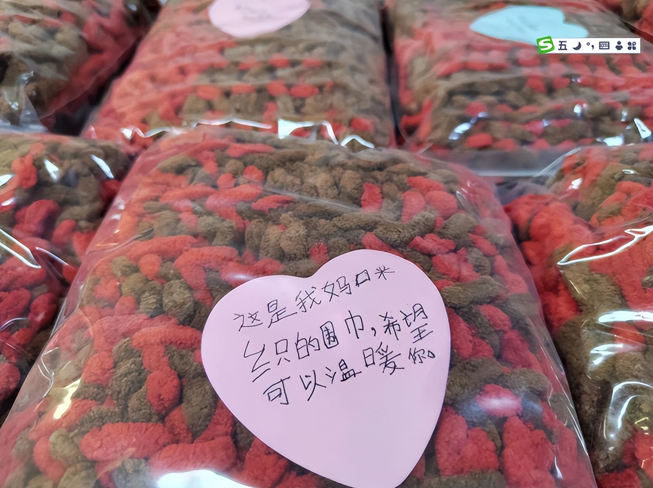 「广东珠海」冬日“针”爱港达携手明珠开展编织围巾送温暖活动