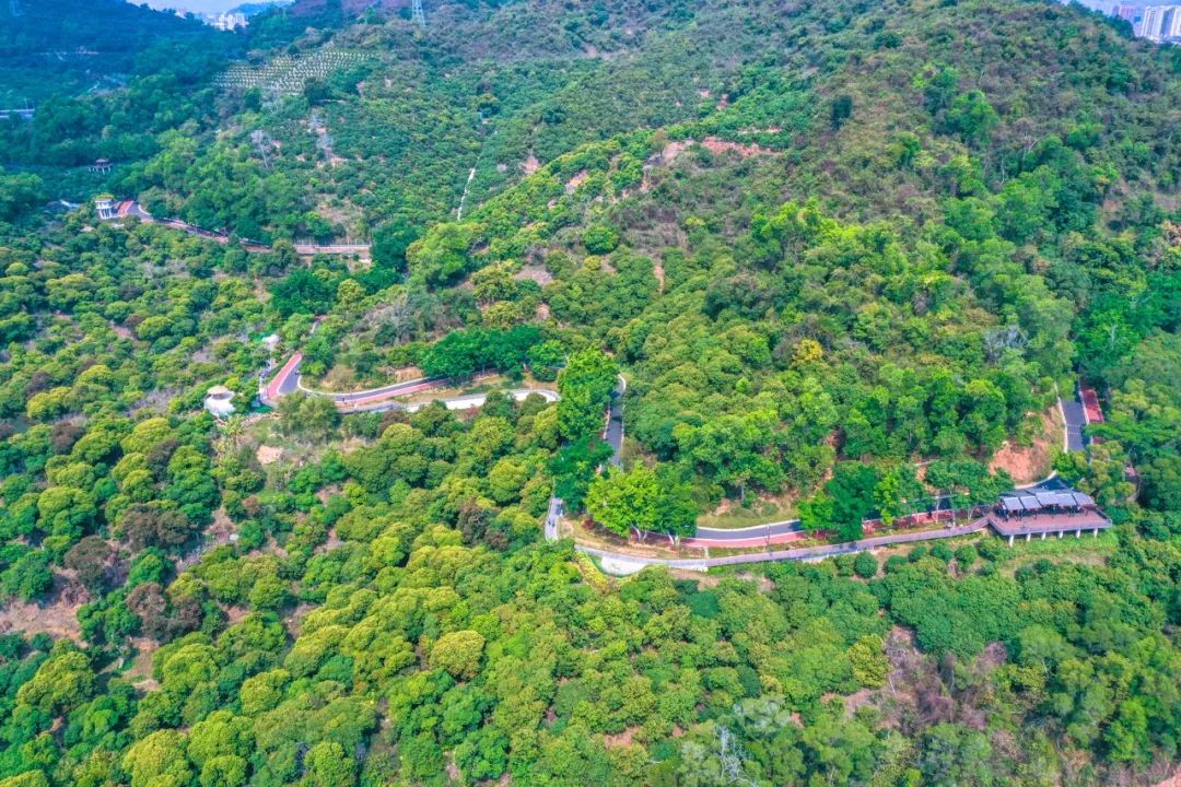 罗湖好玩拍照打卡地方推荐,罗湖游玩地点打卡攻略