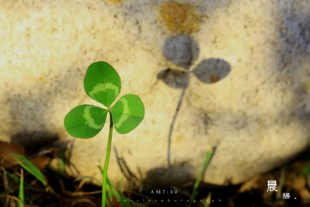 诗词正能量语录励志,十首励志诗词不负青春不负自己