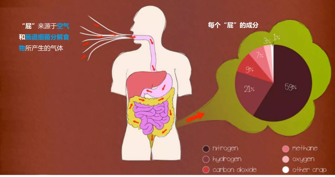 你有关注过这些“屁”事吗