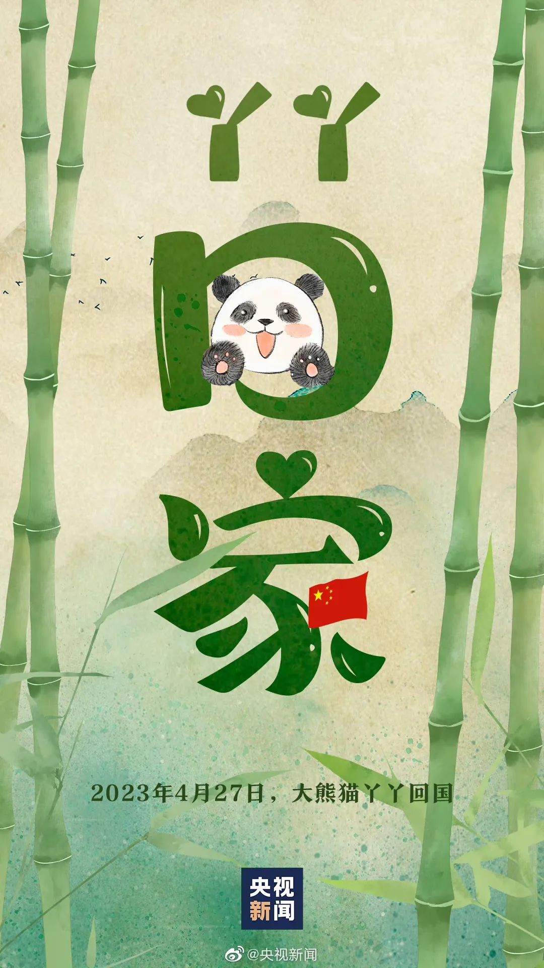 多少人关注丫丫,现在有多少人在关注丫丫