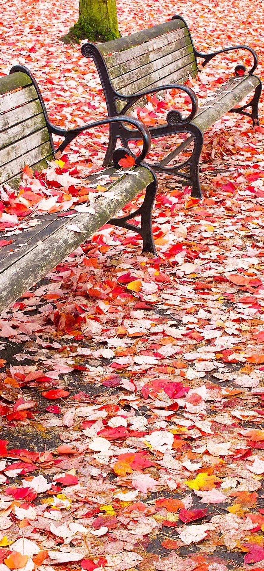 银行资管业务有哪些,银行资管盈利模式重塑