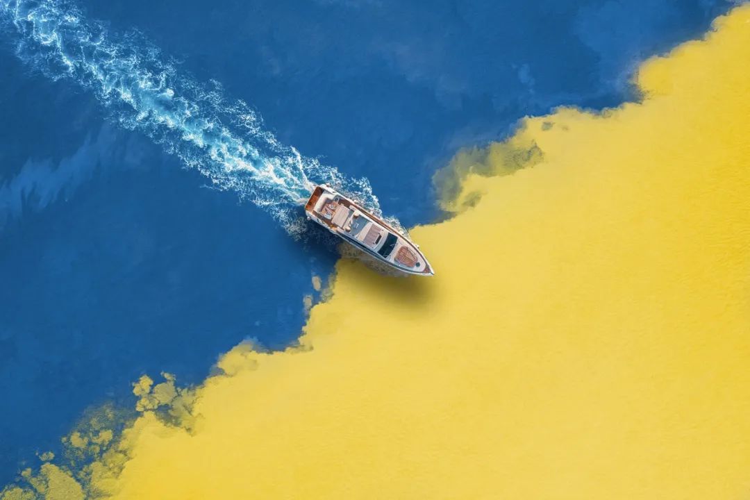 来自五湖四海的大学生摄影爱好者们，在拍些什么？