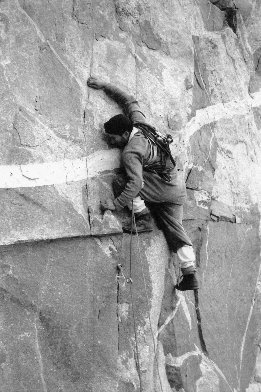 patagonia的总裁,patagonia品牌创始人