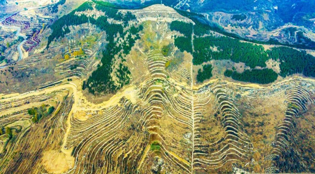 济南夜市网红打卡地点,济南网红打卡地经三路