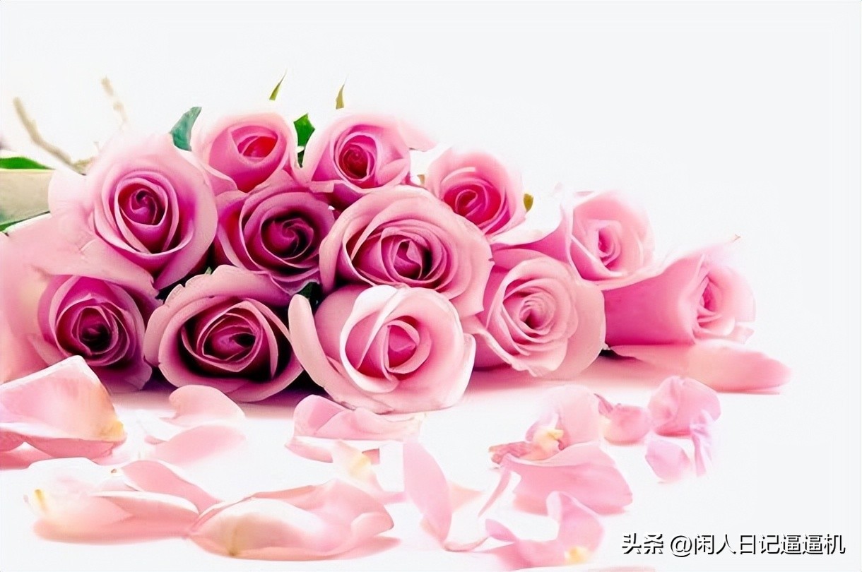 这一人设潦倒无数女孩：钻井工程师*局骗**！（建议女性认真看完）