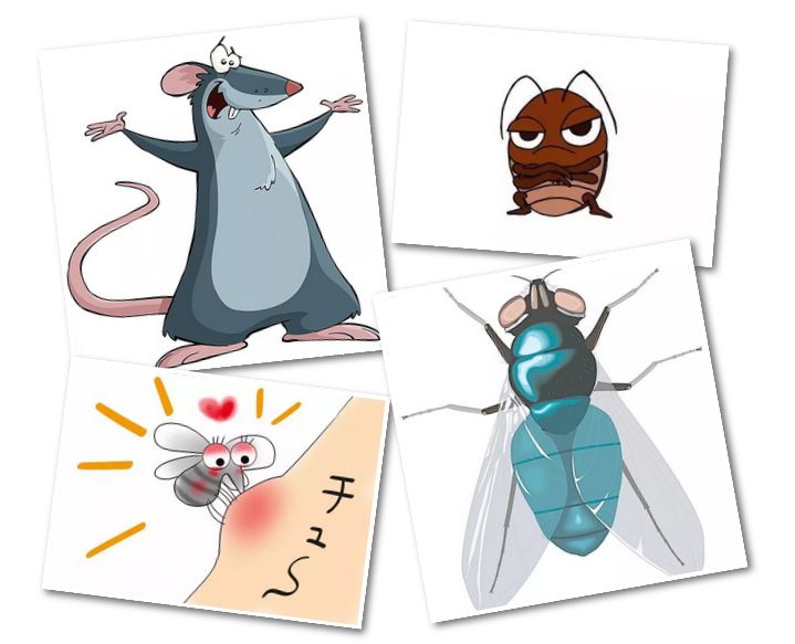 四害是指哪几种动物,四害动物是哪四害