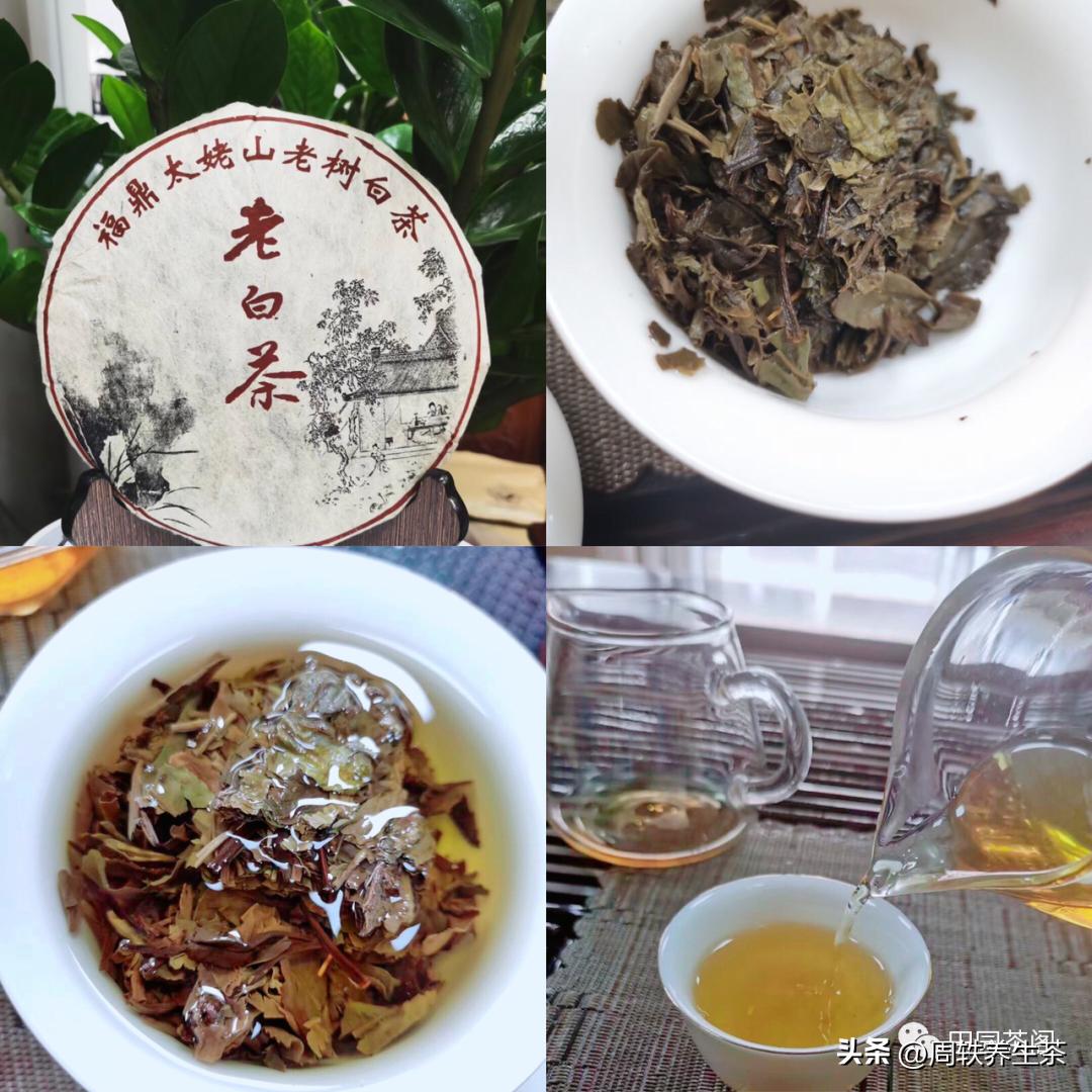 立冬带上杯子去喝茶,立冬后如何保持健康和喝茶