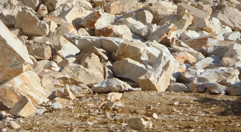 供应链未来三年走向,供应链进化史