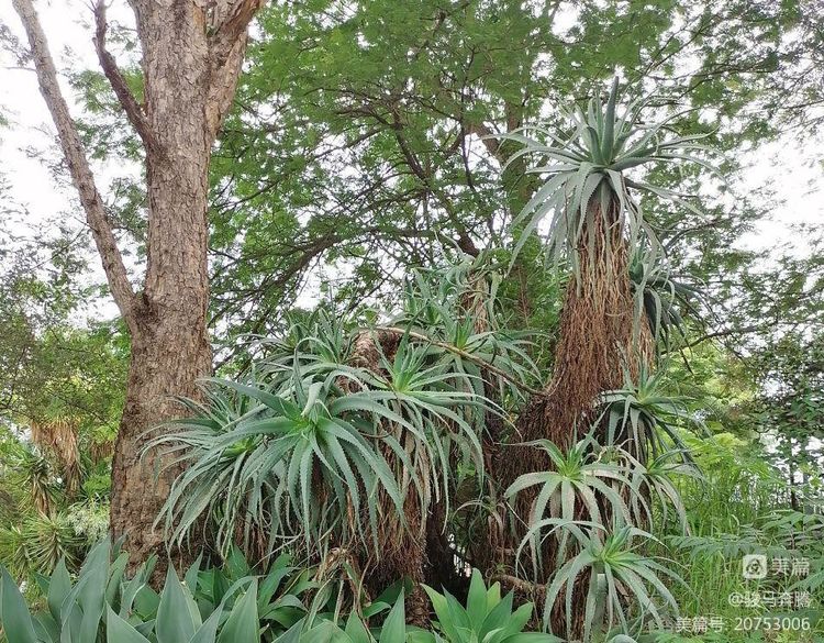 老干部对联,老干部对联大全
