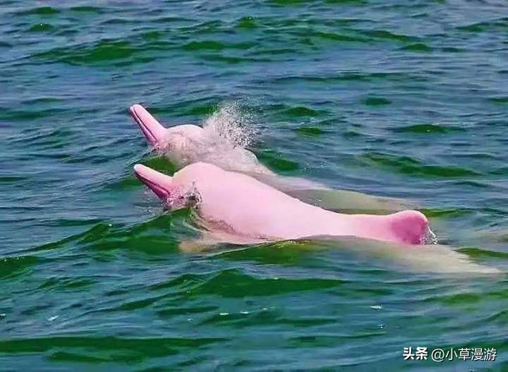 广西自驾游旅游攻略最佳线路,湛江出发广西自驾游最佳线路推荐