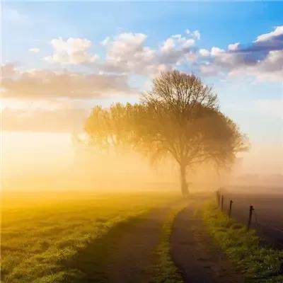 孩子需要什么样的父母，你做的对吗