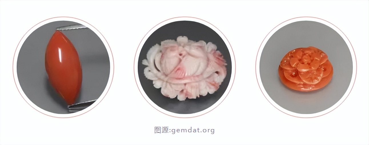 红珊瑚是深海中的千年灵物,深海精灵红珊瑚的万般风情