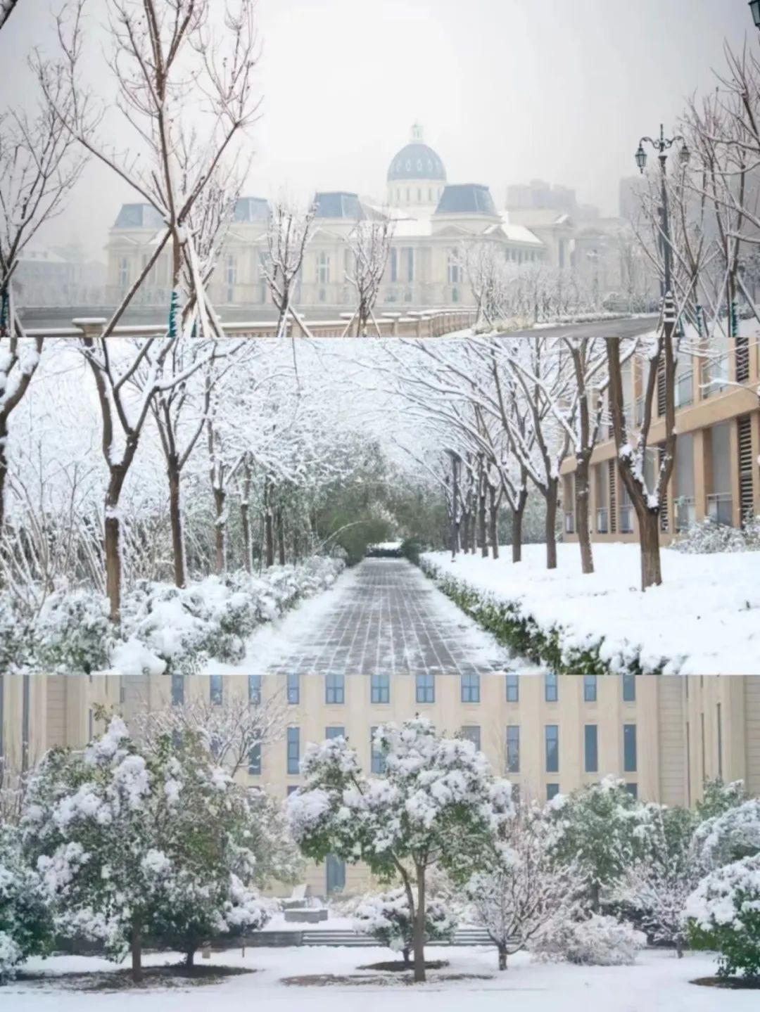 冬日农大美景,优微推荐是什么