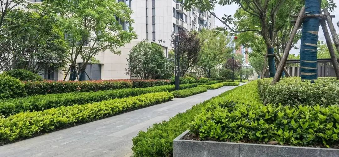 滨湖5.0板块楼市分析,滨湖5.0板块怎么样