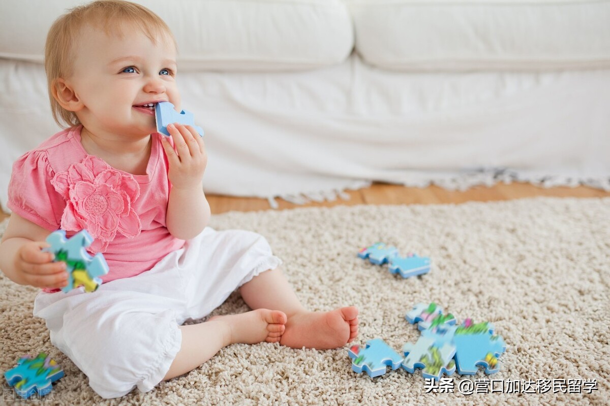 60秒了解加拿大,10分钟了解加拿大国家