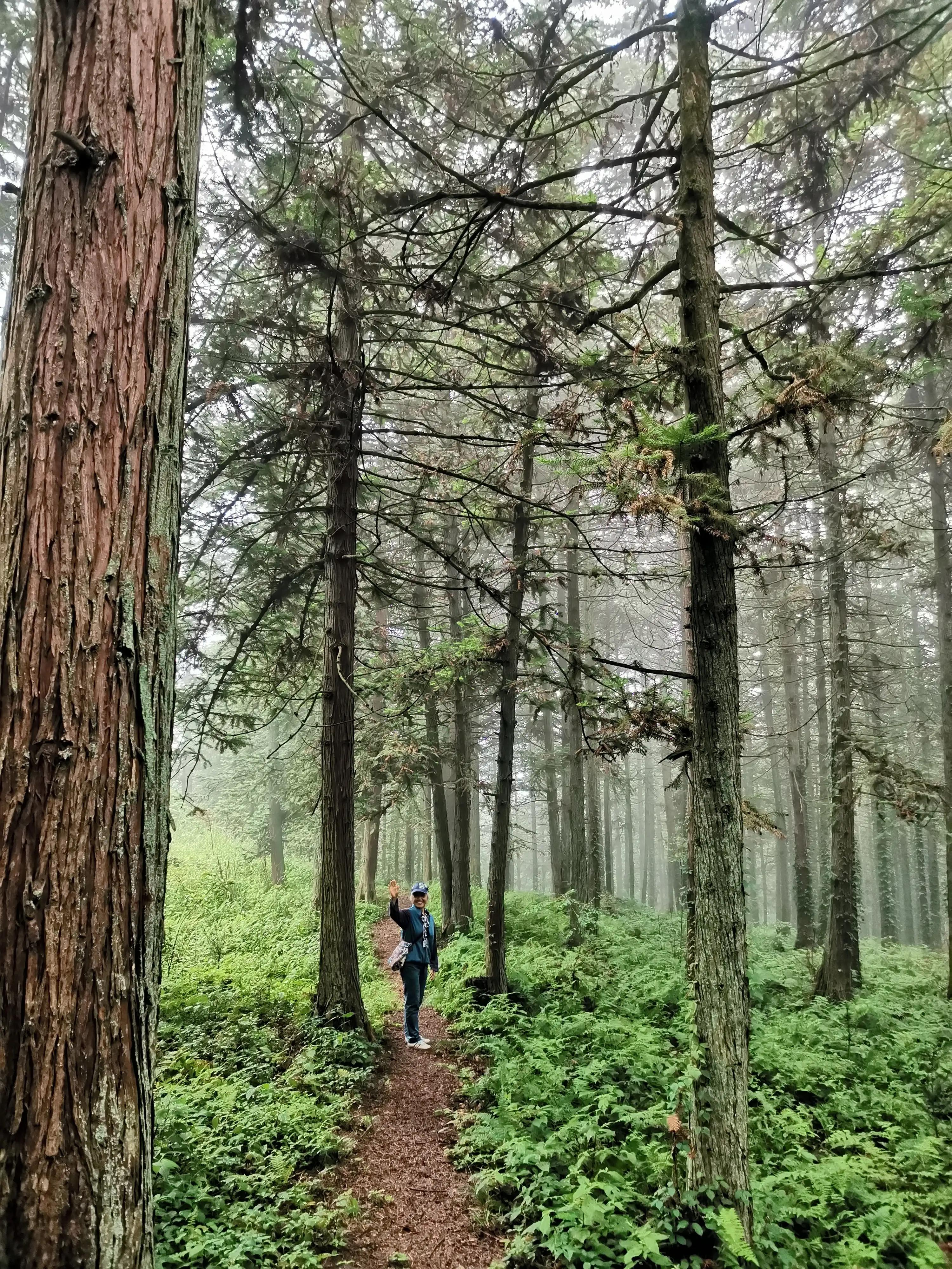 去贵州桐梓避暑哪里最好,桐梓包吃住避暑民宿