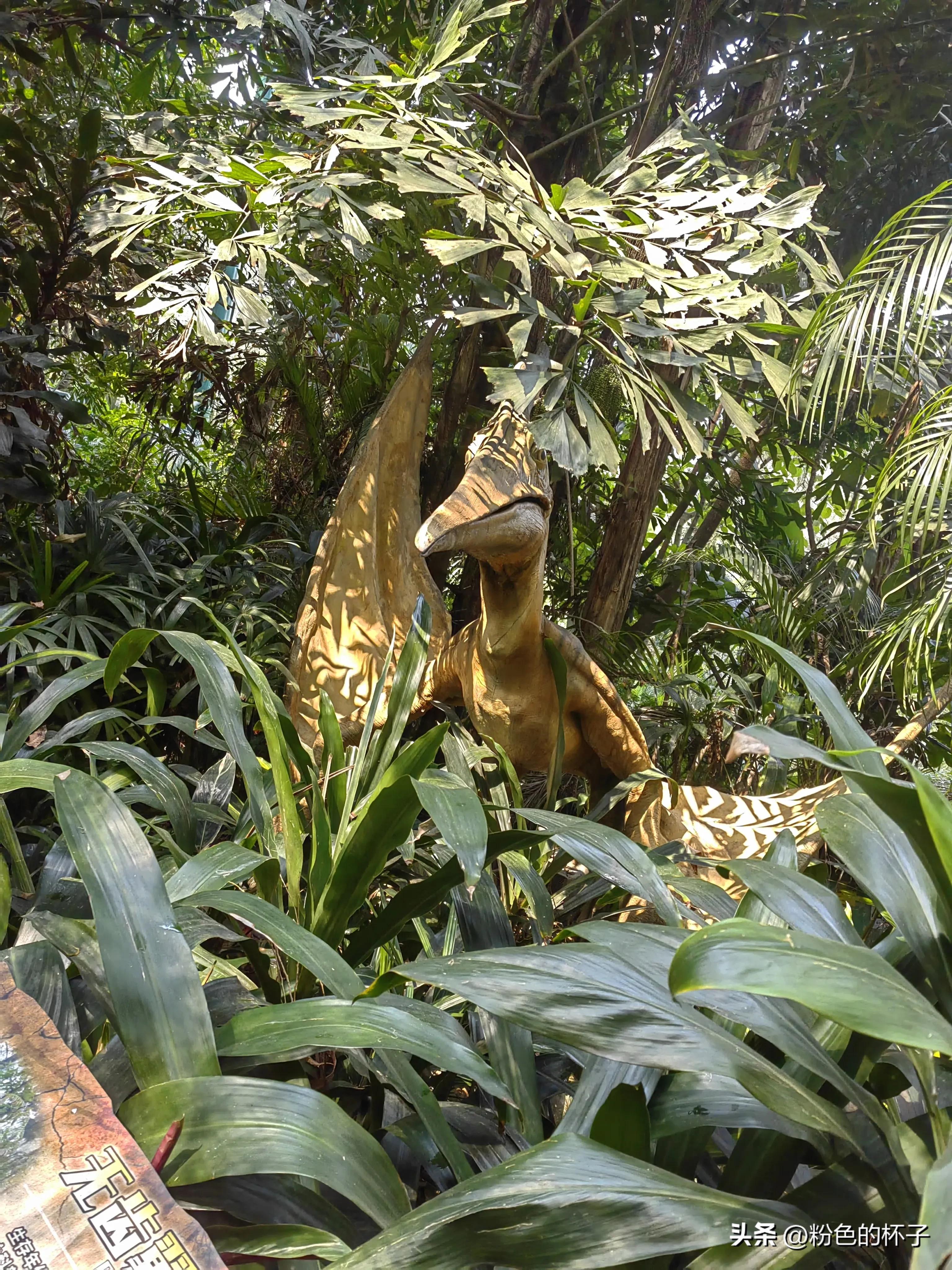 长隆野生动物园旅游攻略费用,长隆野生动物园开车进去攻略