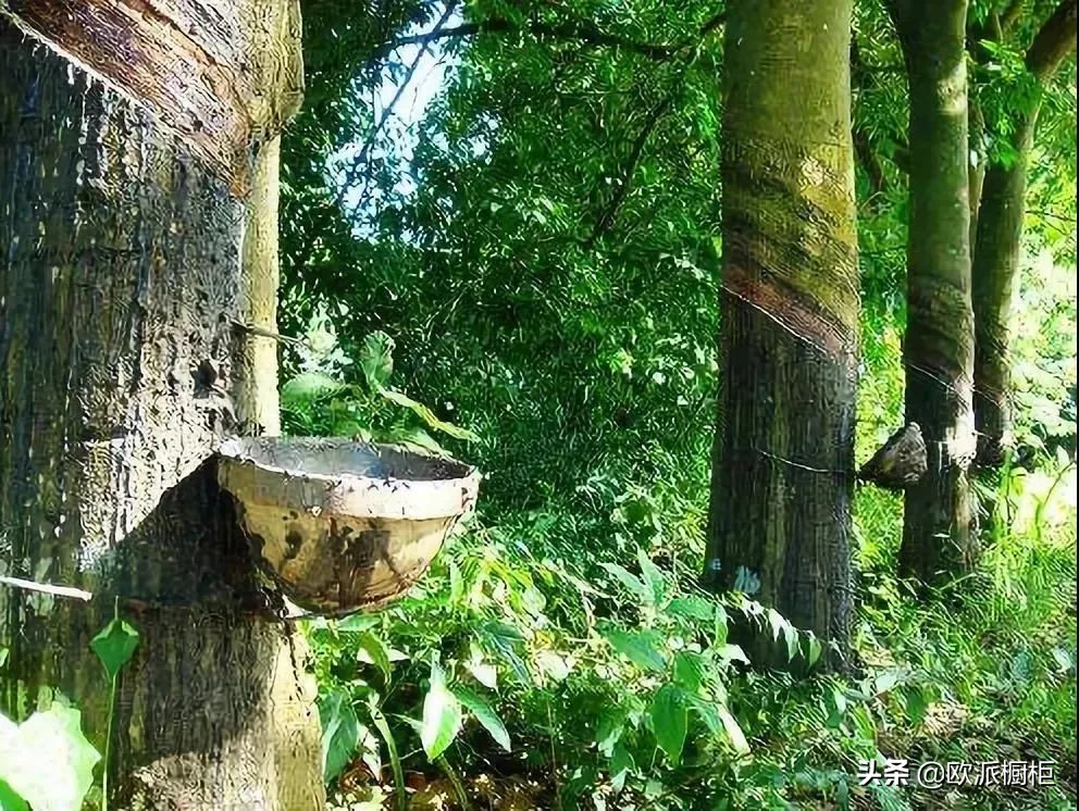 欧派教你如何选板材,90%的人买板材被忽悠