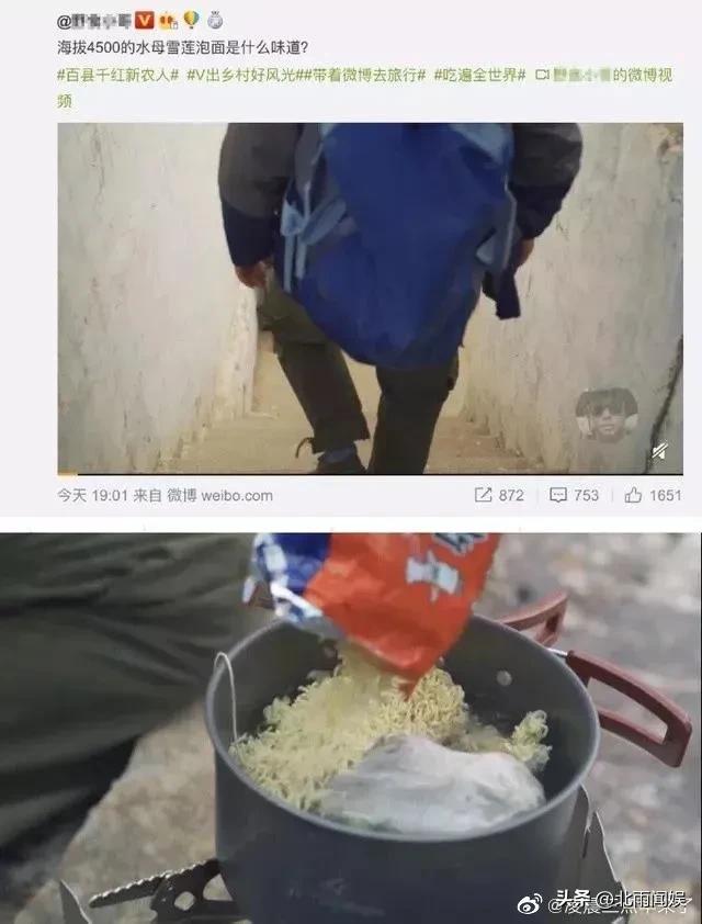 主播采摘二级保护植物“水母雪兔子”，研究员：样本都舍不得摘