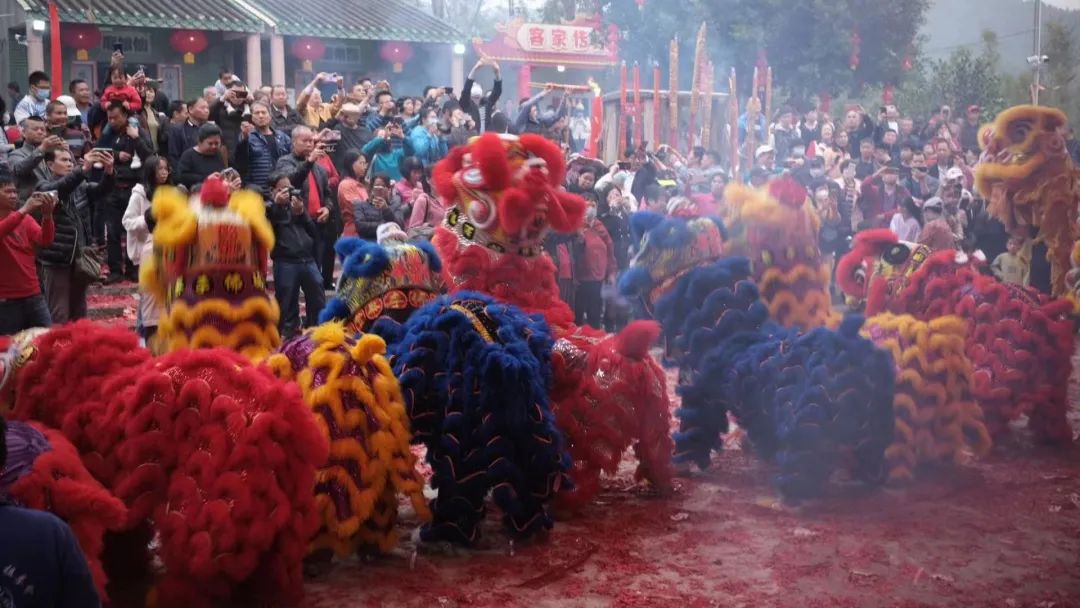 春节成为纽约市法定假日，海外蔡李佛弘扬中国文化不遗余力！