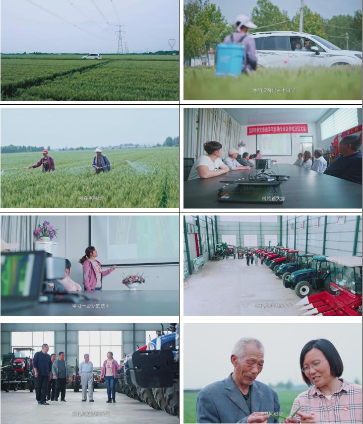 最优质的三农视频文案怎么写,三农视频热门文案素材