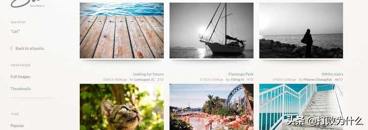 无版权的图片素材网站有哪些,无版权图片素材库真的无版权吗