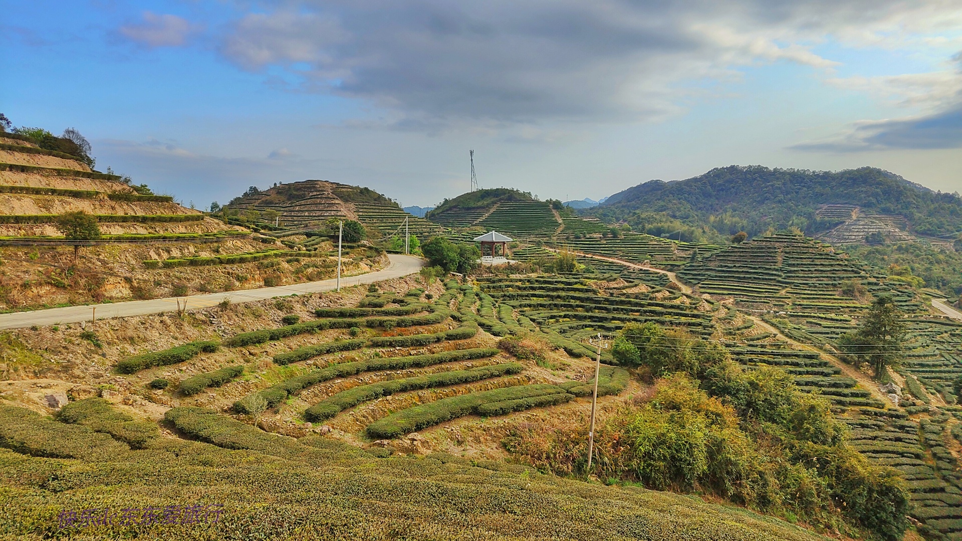 大家纷纷出去赏樱花，我却和老婆偷偷去山里看松树花，收获如何？