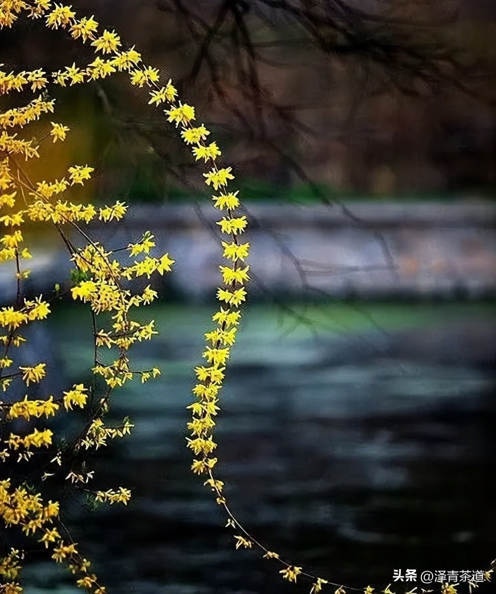 写春天的著名唐诗宋词加赏析,100首关于春天的唐诗宋词