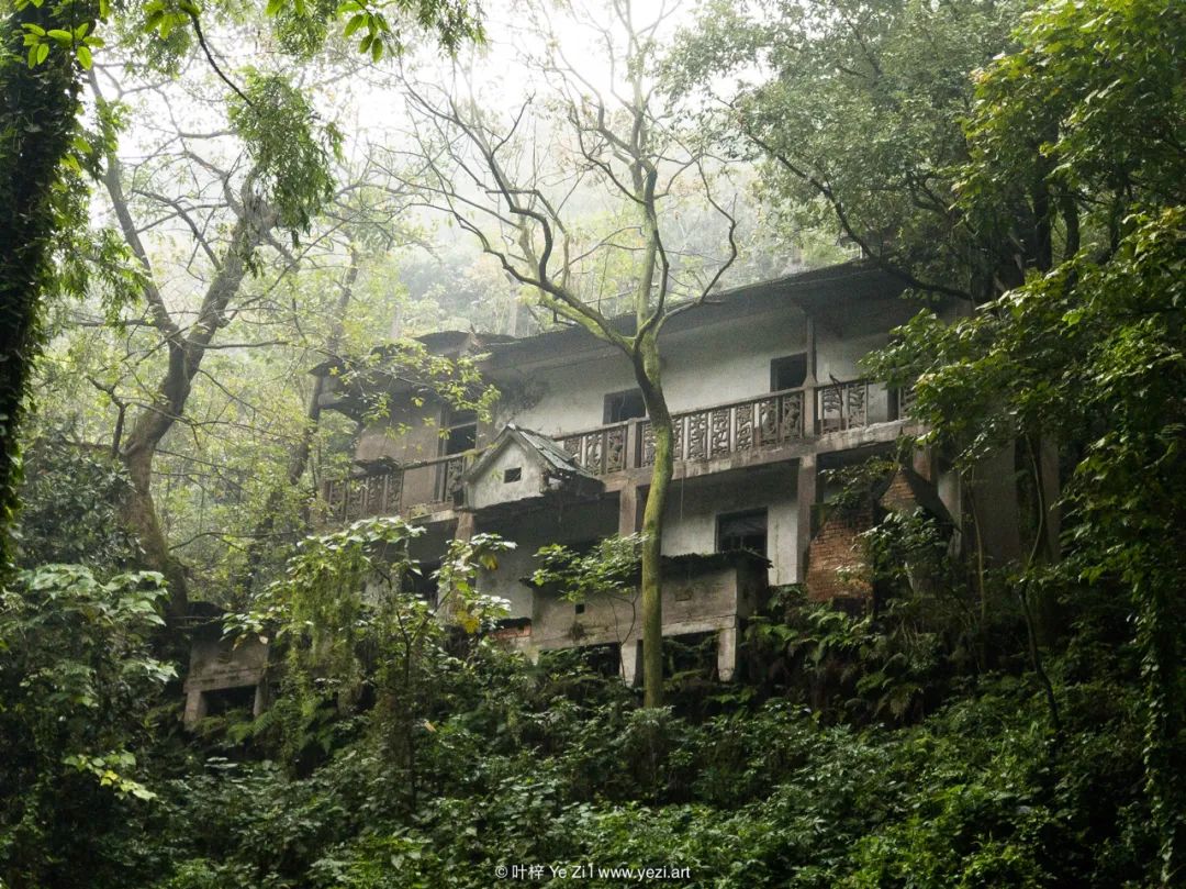 小米拍照和苹果拍照哪个好,苹果拍照和小米拍照对比