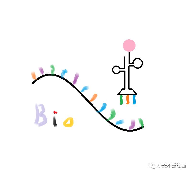 TBtools|基因家族分析,进化树、Motifs、结构域