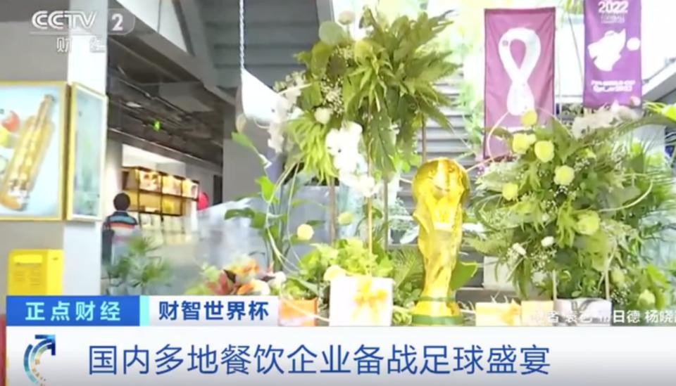 足球世界杯菜品,足球世界杯十大看点