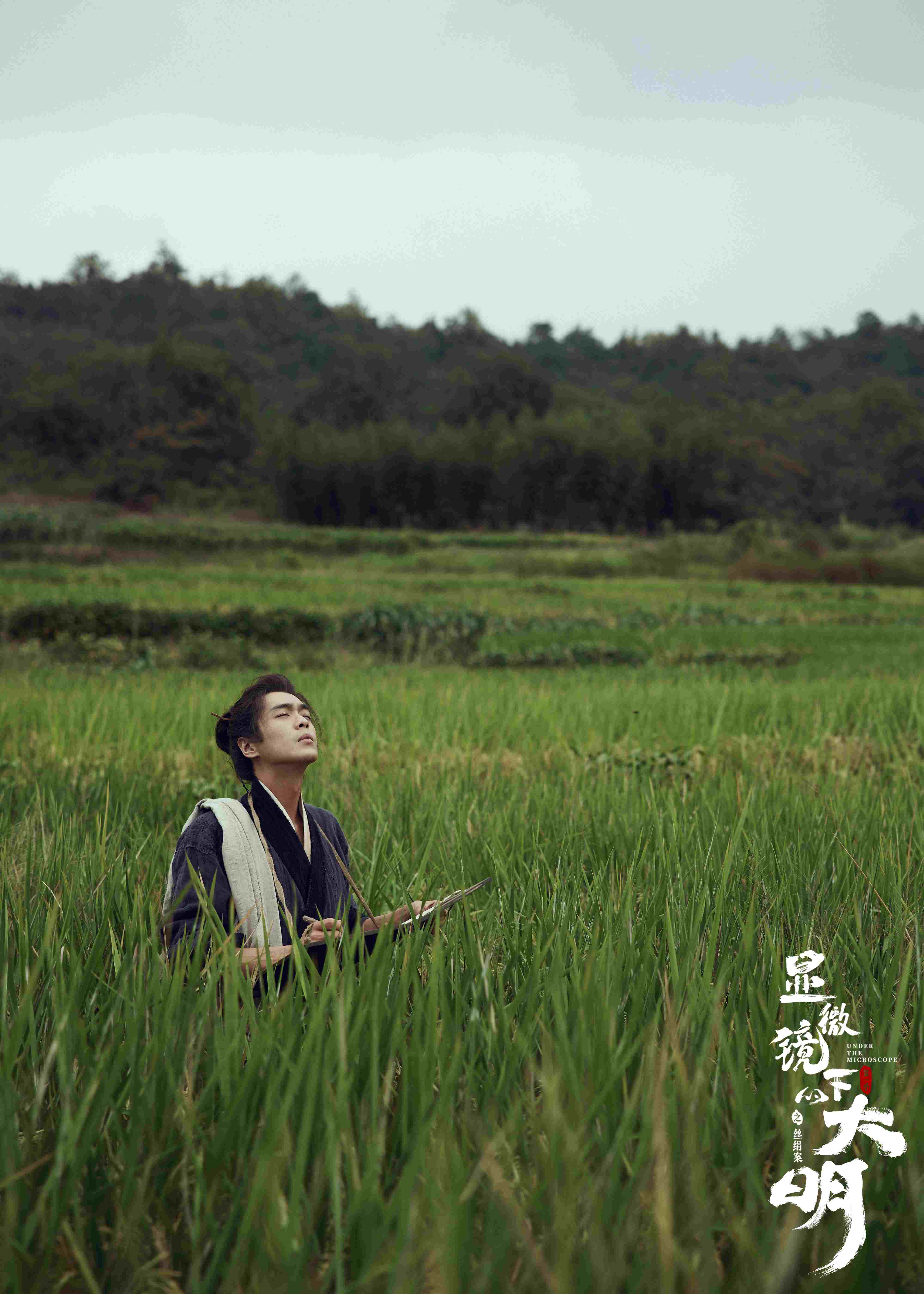 2023年最值得看的几部剧,2023年评分最高十部剧