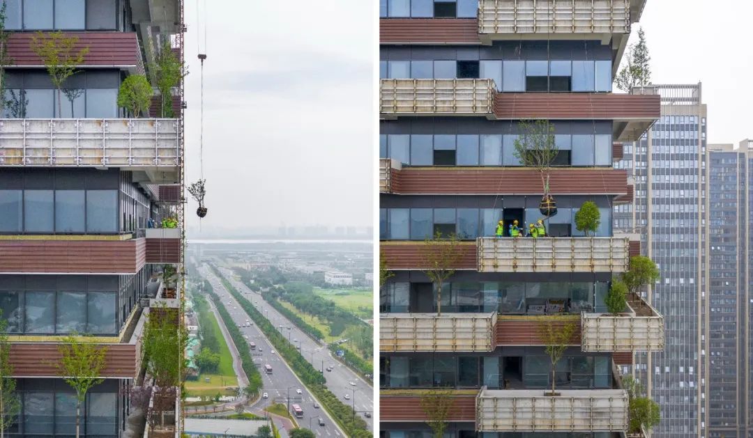 中国第一个垂直森林住宅项目,黄冈垂直森林住宅