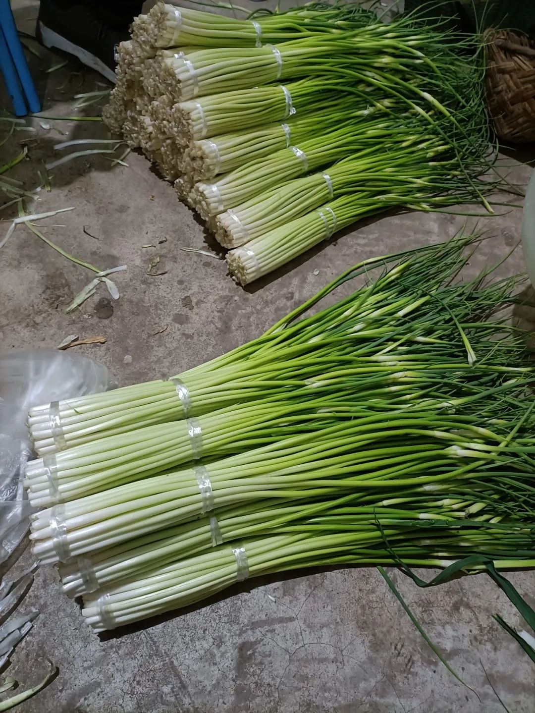 德昌有什么好耍的地方,德昌有啥好玩的地方推荐一下