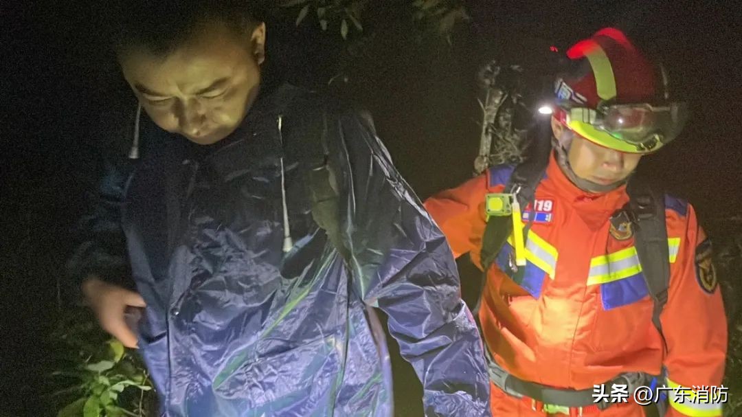 在深山老林捡菌子,夫妻深山捡菌子