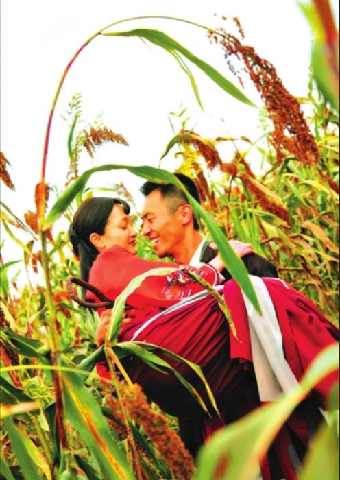 张艺谋即将播出的电视剧,张艺谋即将拍的电视剧