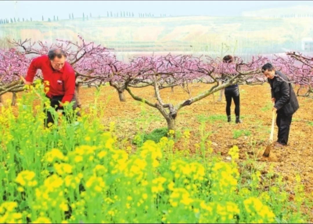 优美耕田诗词,春耕田园唯美诗句
