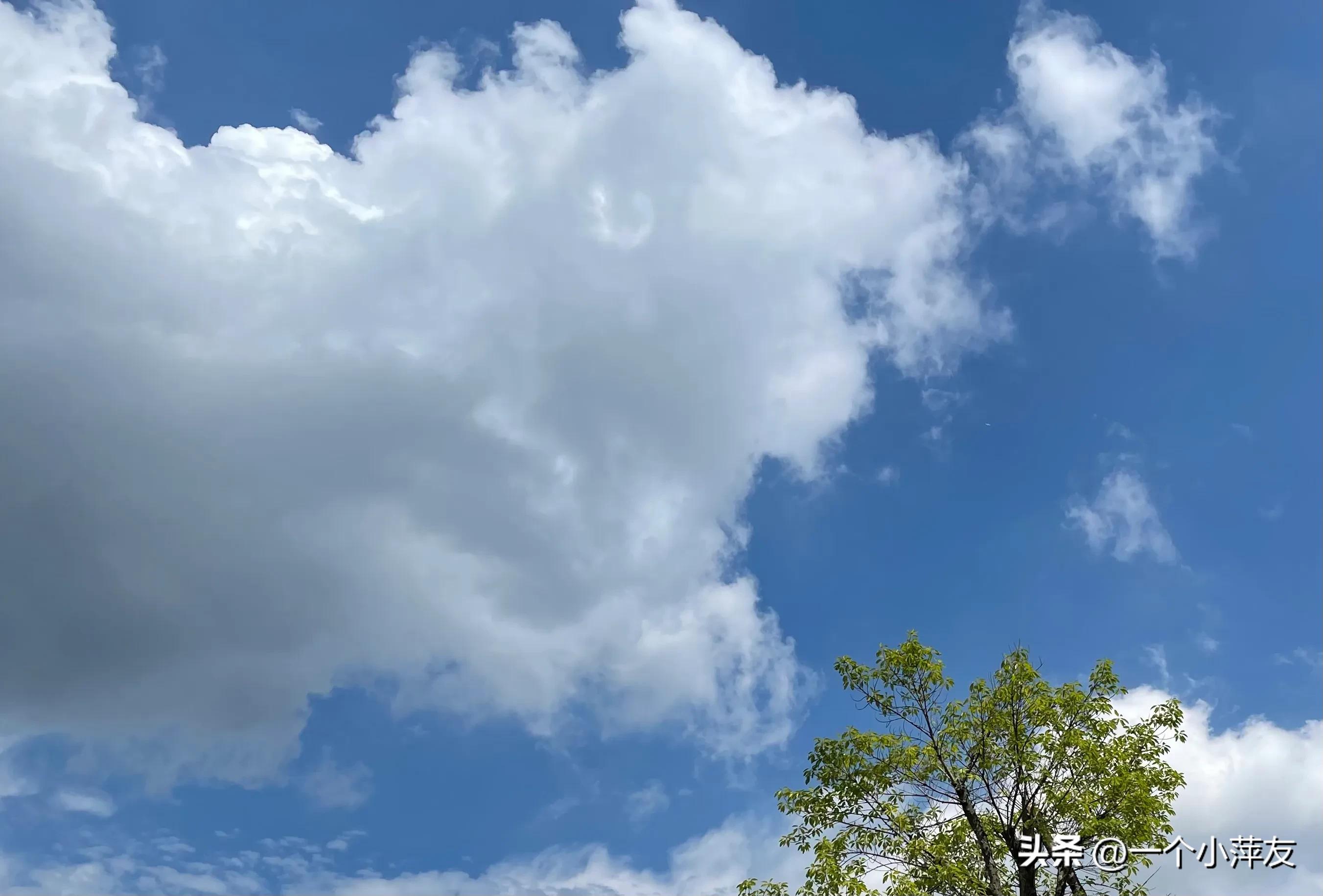 青苹果高清完整,青苹果影院