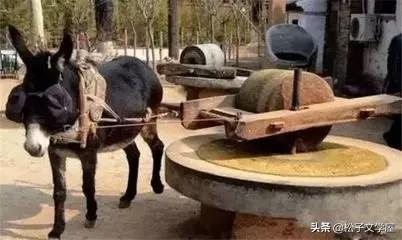 小型豆腐坊,我的豆腐坊视频