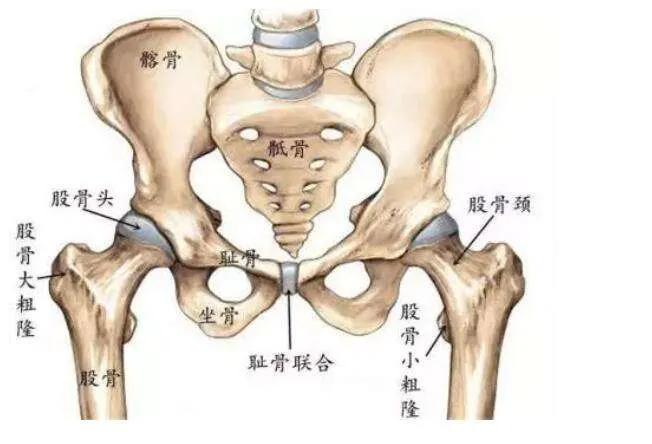 站桩开前胯还是开后胯,站桩如何开后胯