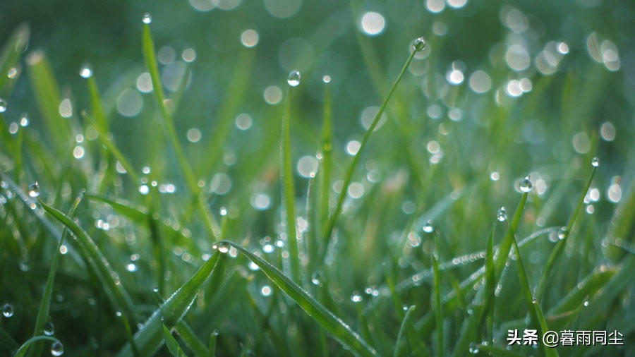 优秀的背包客与户外工作者都是野外气象员:了解7个气象学概念